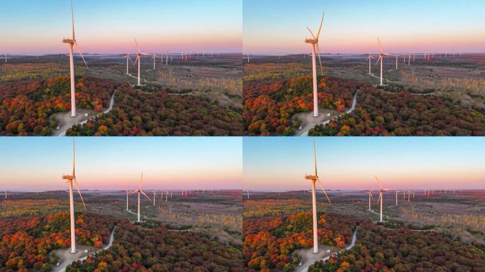枫叶林中的新能源风车延时视频