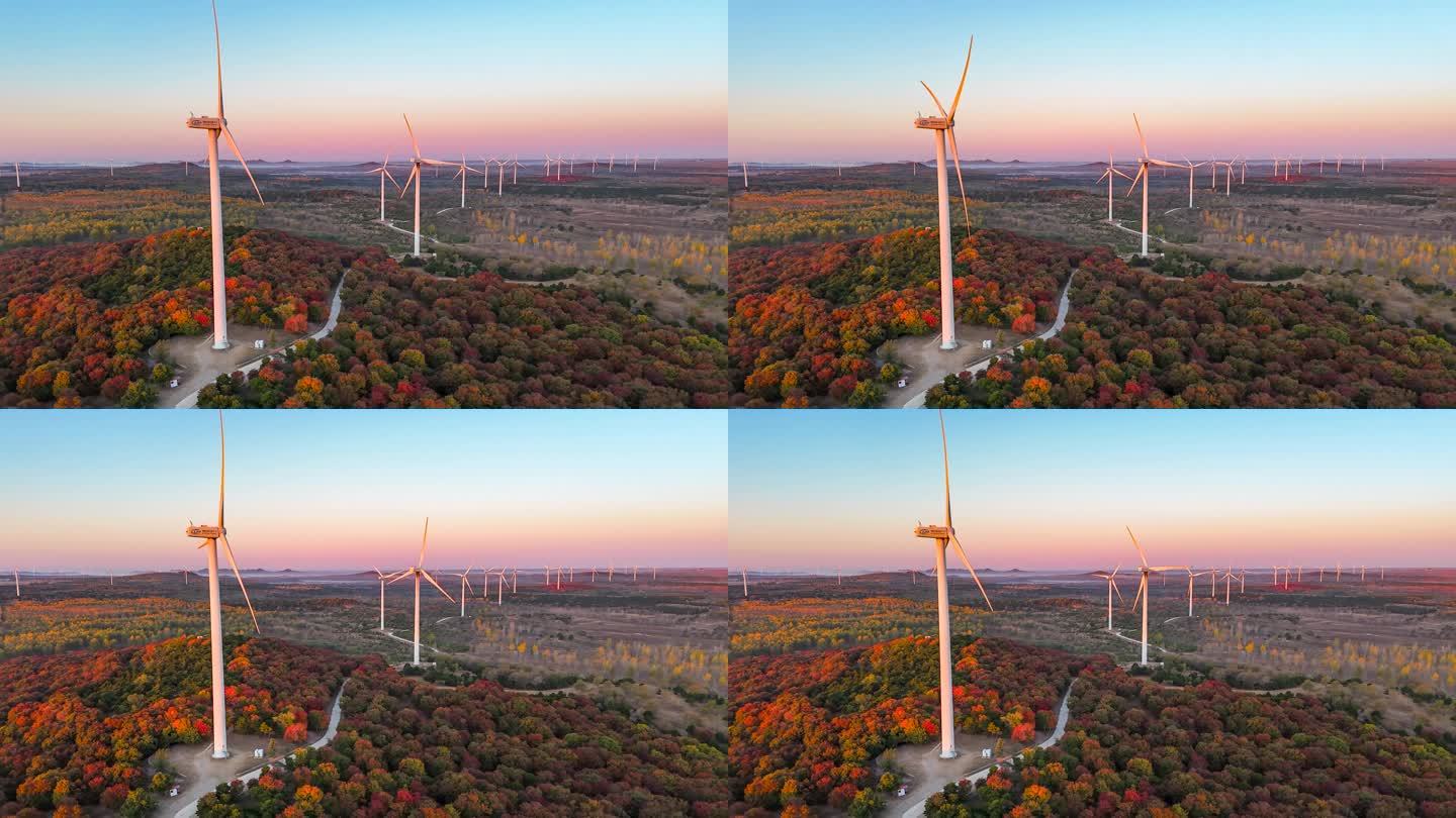 枫叶林中的新能源风车延时视频