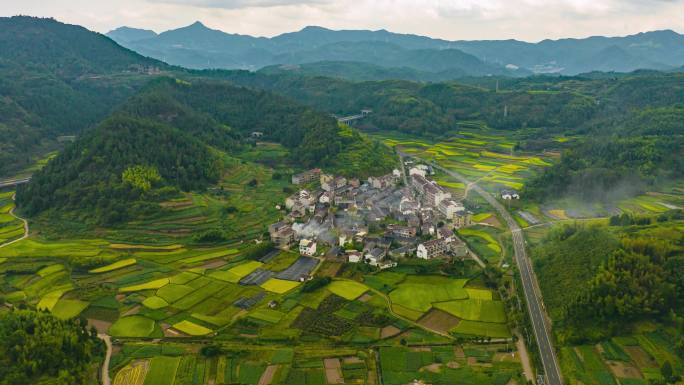 新农村 乡村振兴 稻田