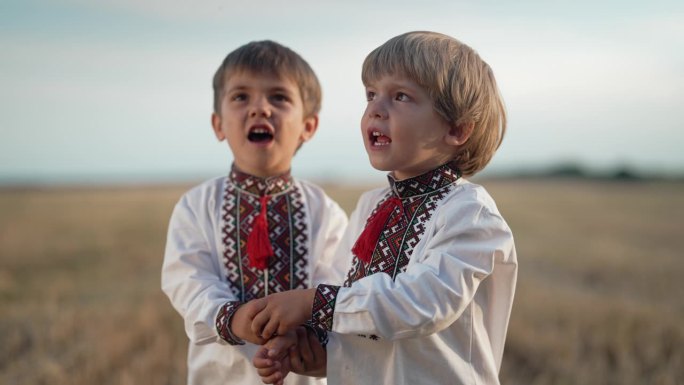 乌克兰小男孩收割后在麦田里唱歌的美丽肖像。