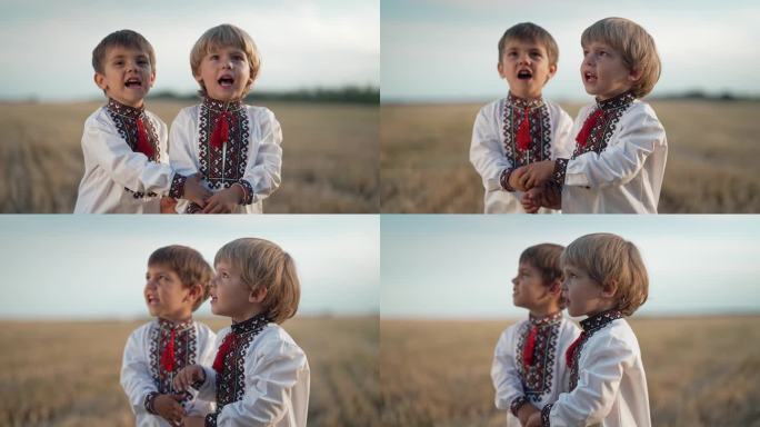 乌克兰小男孩收割后在麦田里唱歌的美丽肖像。