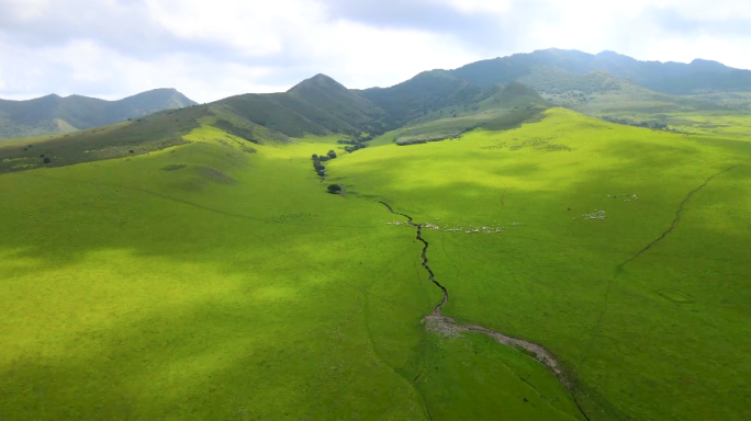 内蒙古科尔沁高山草原羊群