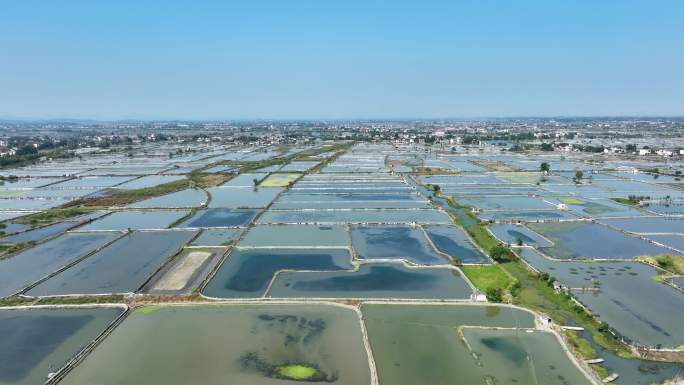 水产养殖现代农业螃蟹水塘