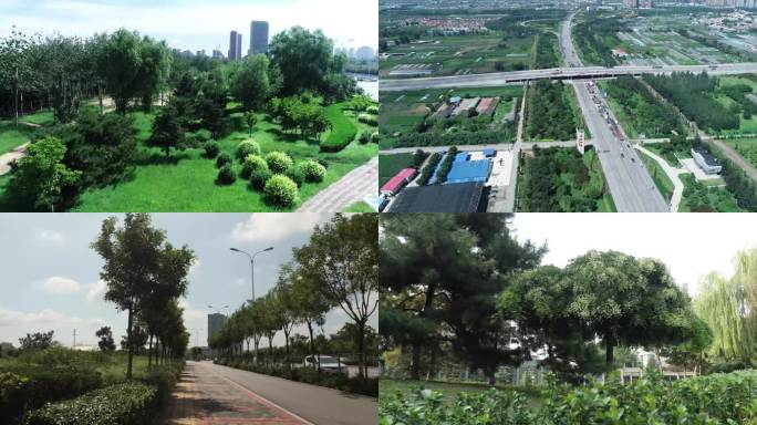 城市道路公园绿化