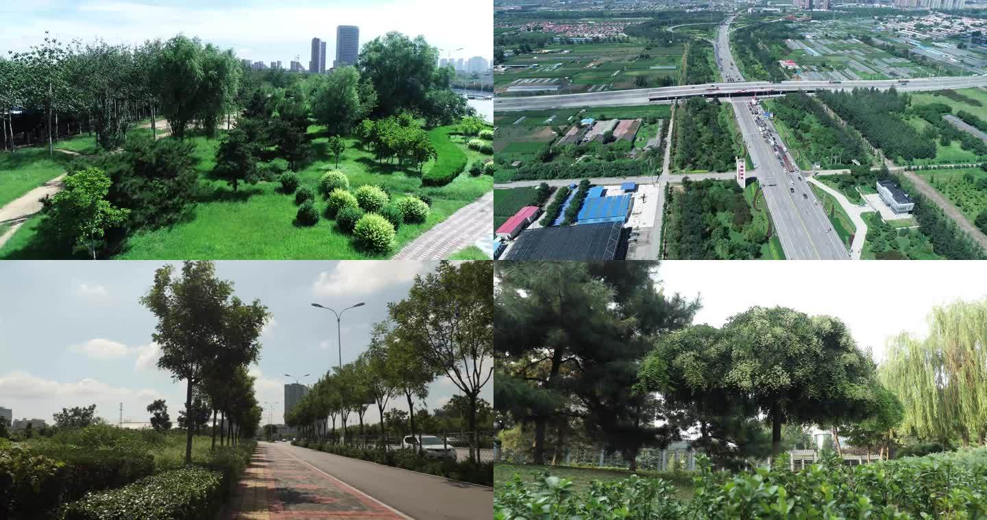 城市道路公园绿化