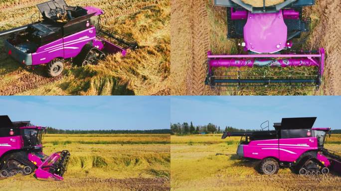 5K大型农用机械收割稻谷