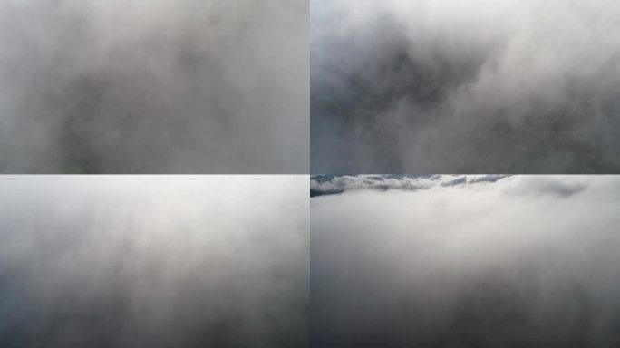 美国北加州红木国家森林，一架无人机在低空云层上拍摄。相机开始向下直视，然后慢慢向上倾斜，以显示天空中