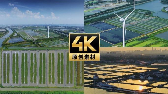 4K阳澄湖大闸蟹养殖池塘航拍