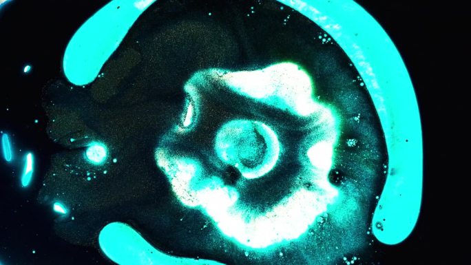 通过显微镜观察变异的细菌细胞