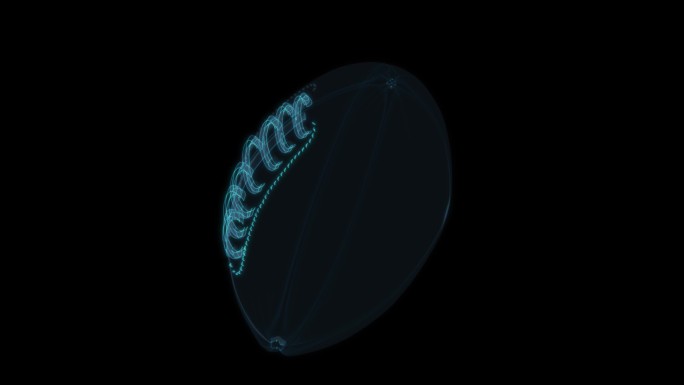 橄榄球 美式足球体育运动对抗比赛赛事球类