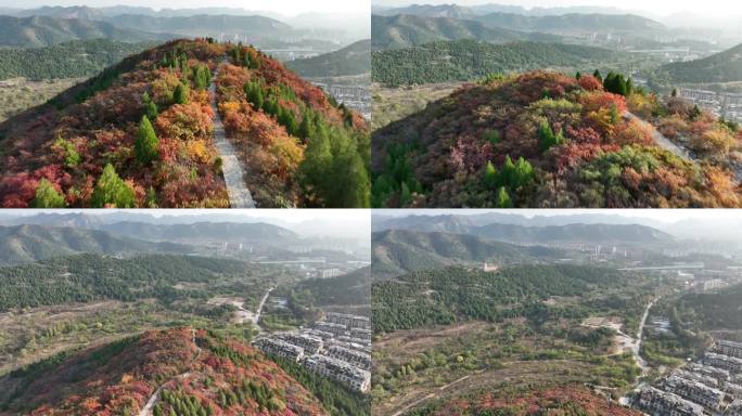 秋色 山景 红叶 落日 徒步 氧吧