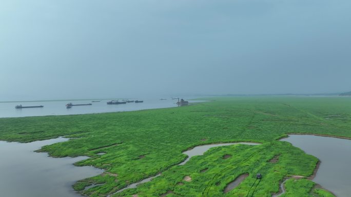 鄱阳湖风景航拍湖泊湿地公园草地河流风光