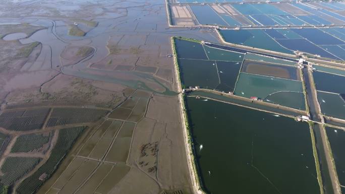 海水养殖基地