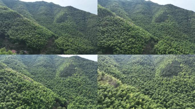 航拍竹林竹山竹海毛竹山山村山区实拍原素材