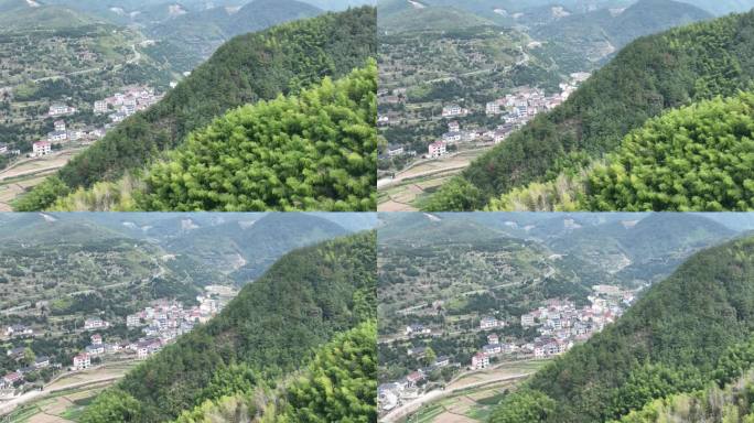 航拍浙江山区山村农村竹林竹山竹海毛竹山