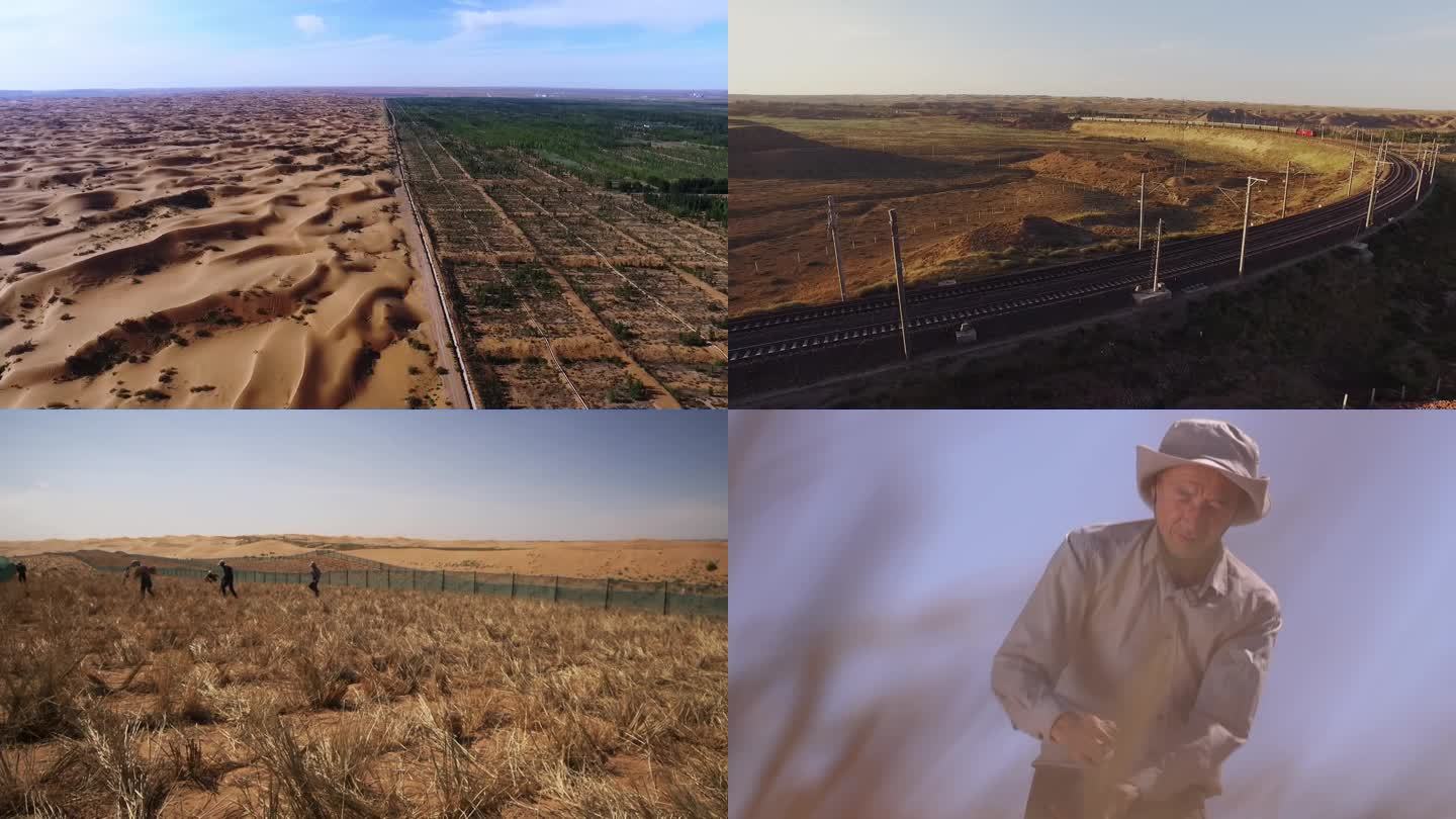 沙漠麦草方格