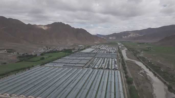 西藏农业大棚实拍素材