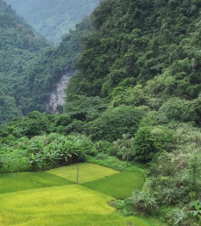 高清竖屏航拍广西靖西通灵大峡谷美景合集