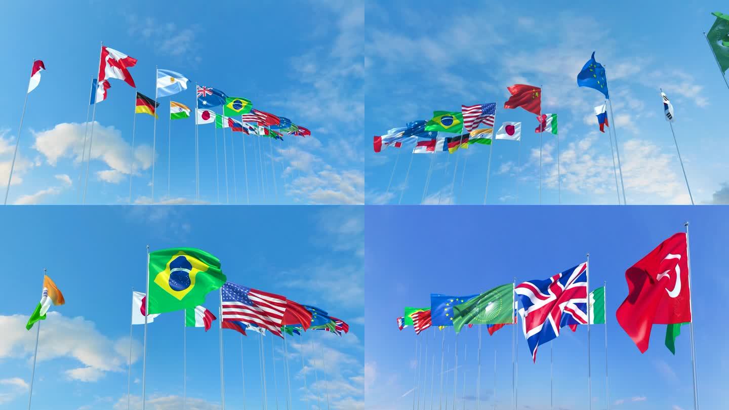 G20国旗