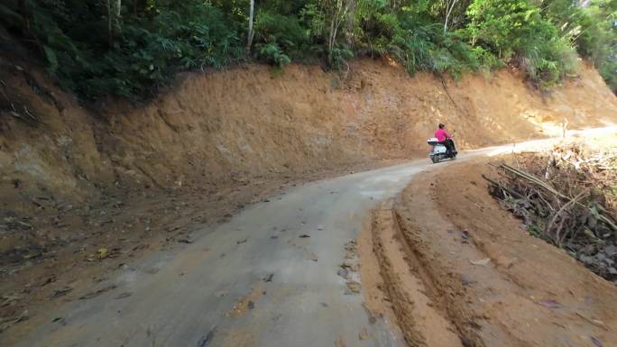 村道林荫道驾驶视觉道路农村道路