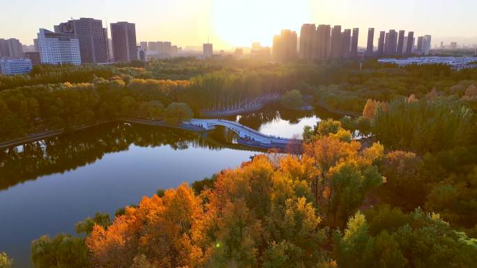 劳动公园 秋景