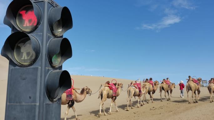 敦煌鸣沙山沙漠骆驼