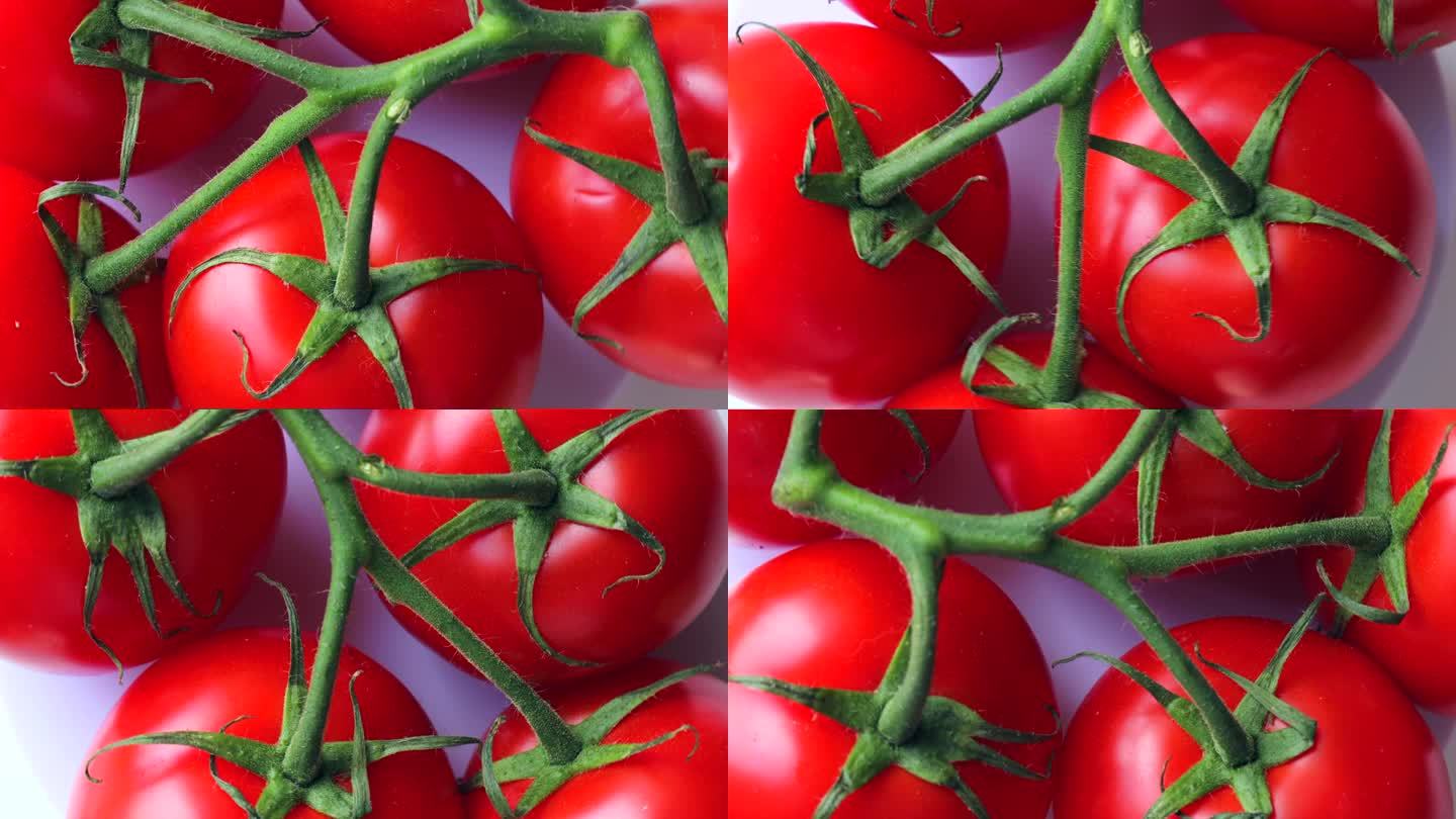 鲜红多汁的番茄挂在树枝上，绕圈旋转。西红柿在绿色的树枝上转动。