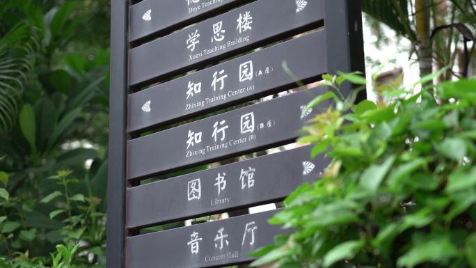 大学环境 校园 图书馆 大学生 学校