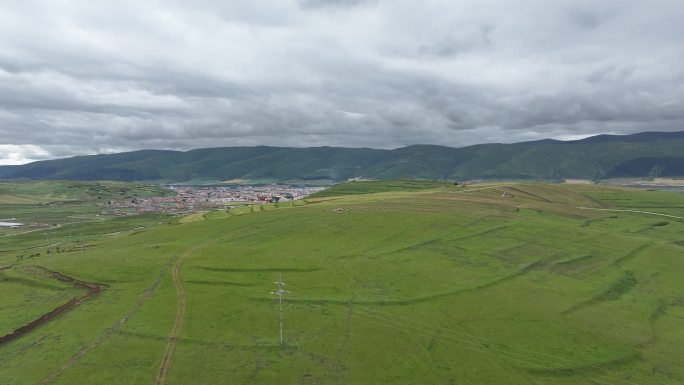 阿坝州草原种植生态保护高原草场航拍4k