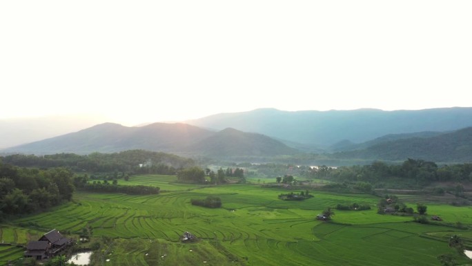 夕阳下的绿稻鸟瞰图