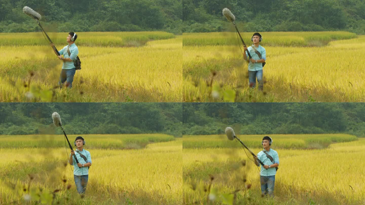 男子在稻田录制大自然的声音