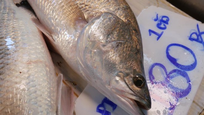 泰国芭堤雅鱼市柜台上的活鲈鱼