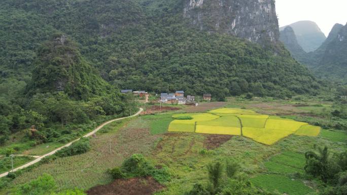 风景如画世外桃园美丽村庄