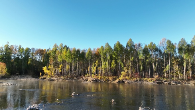 秋季森林河风景