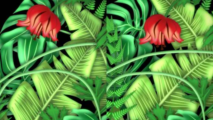 热带植物，可从20:00循环到结束。怪物，香蕉棕榈。树叶、蕨类植物、花朵动画。垂直视频。