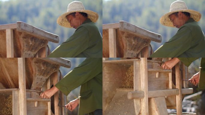 农民在田地使用风车分离农作物