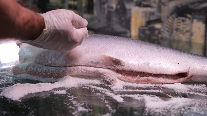 腌制红鲑鱼的过程把鱼从壳上剥下来，盖上盐，然后腌一会儿美味的健康食品天然产品海鲜男手特写清洁鱼