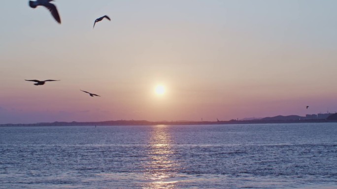 Nice, beautiful，如画，平静迷人的夕阳前海与地平线，云，太阳，海鸥，鸟，水和波浪广角景