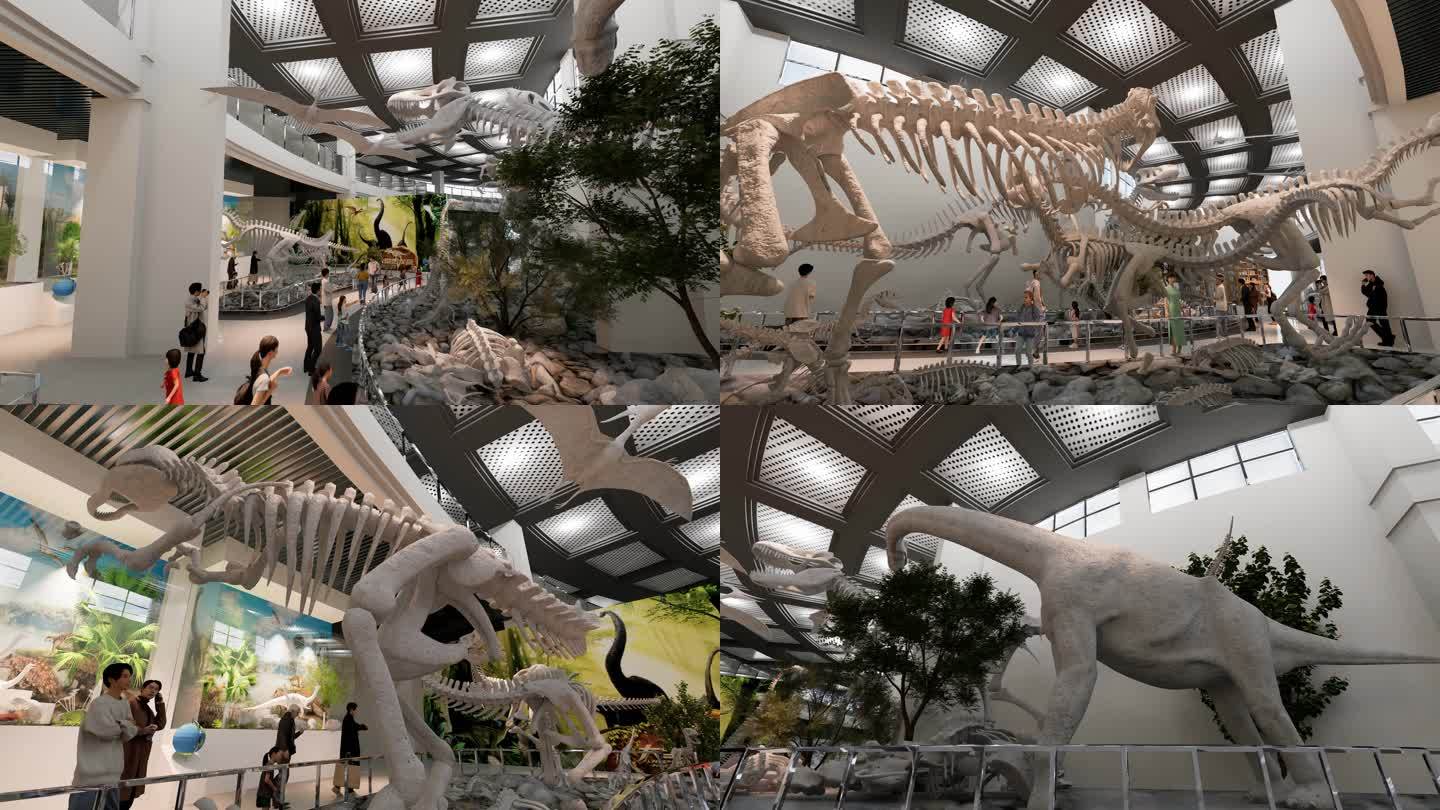 4k恐龙博物馆恐龙化石恐龙化石展览