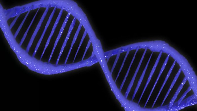 螺旋状的DNA链。双螺旋人类DNA结构。DNA链，DNA分子，矢量图