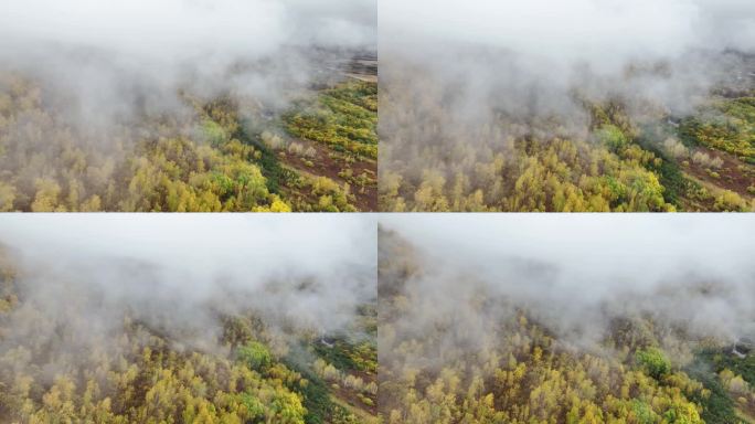 内蒙古兴安盟地区大兴安岭秋季云海景观