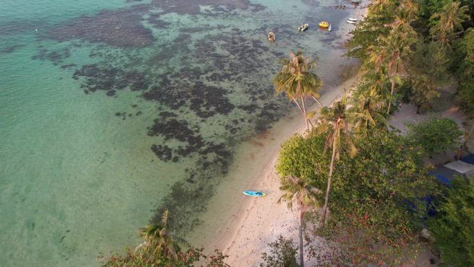 丹戎格兰海滩卡里蒙爪哇岛，棕榈树和热带岛屿