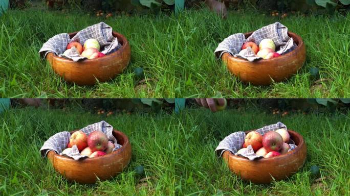 把掉在地上的苹果捡到木碗里。