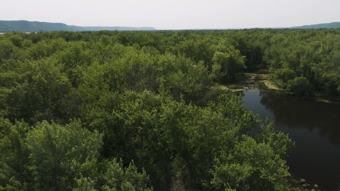 密西西比河的一条支流，历史上因牛肉泥和木材战争而闻名。