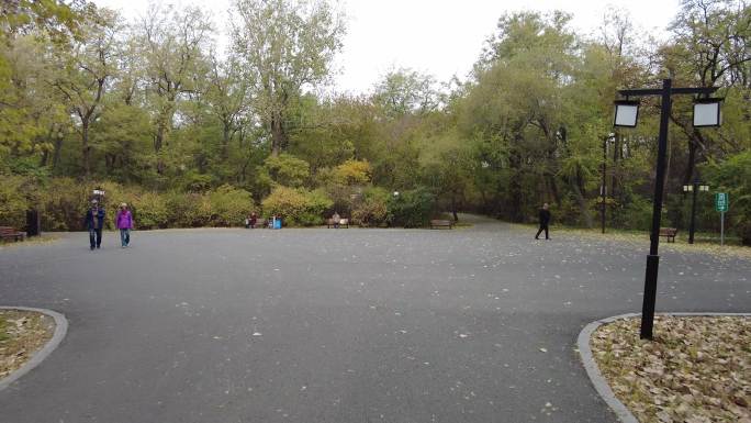 秋天 公园 散步 树木 长镜头 空镜