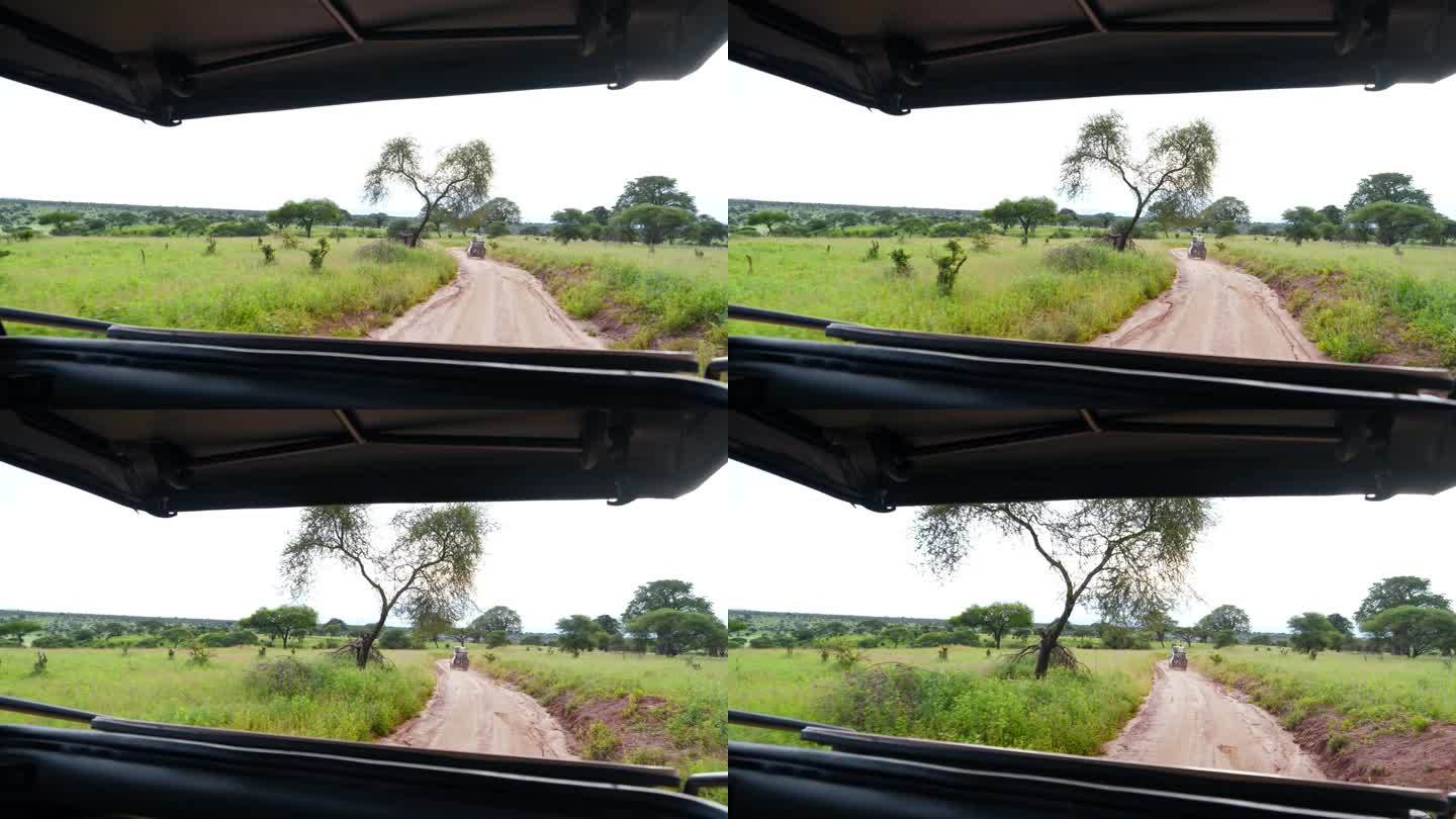 从一辆越野车上俯瞰坦桑尼亚美丽的风景
