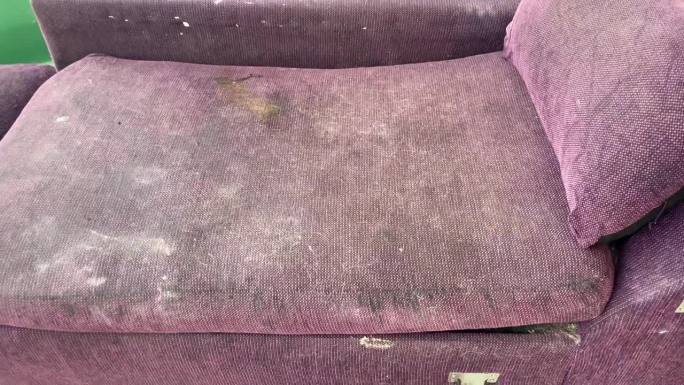 被扔在街上的紫色沙发