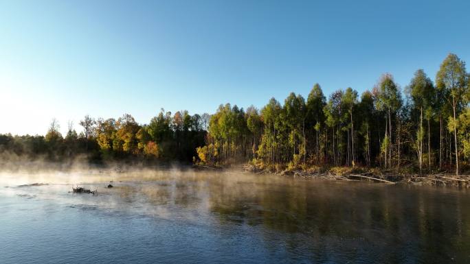 秋季森林河晨雾迷漫
