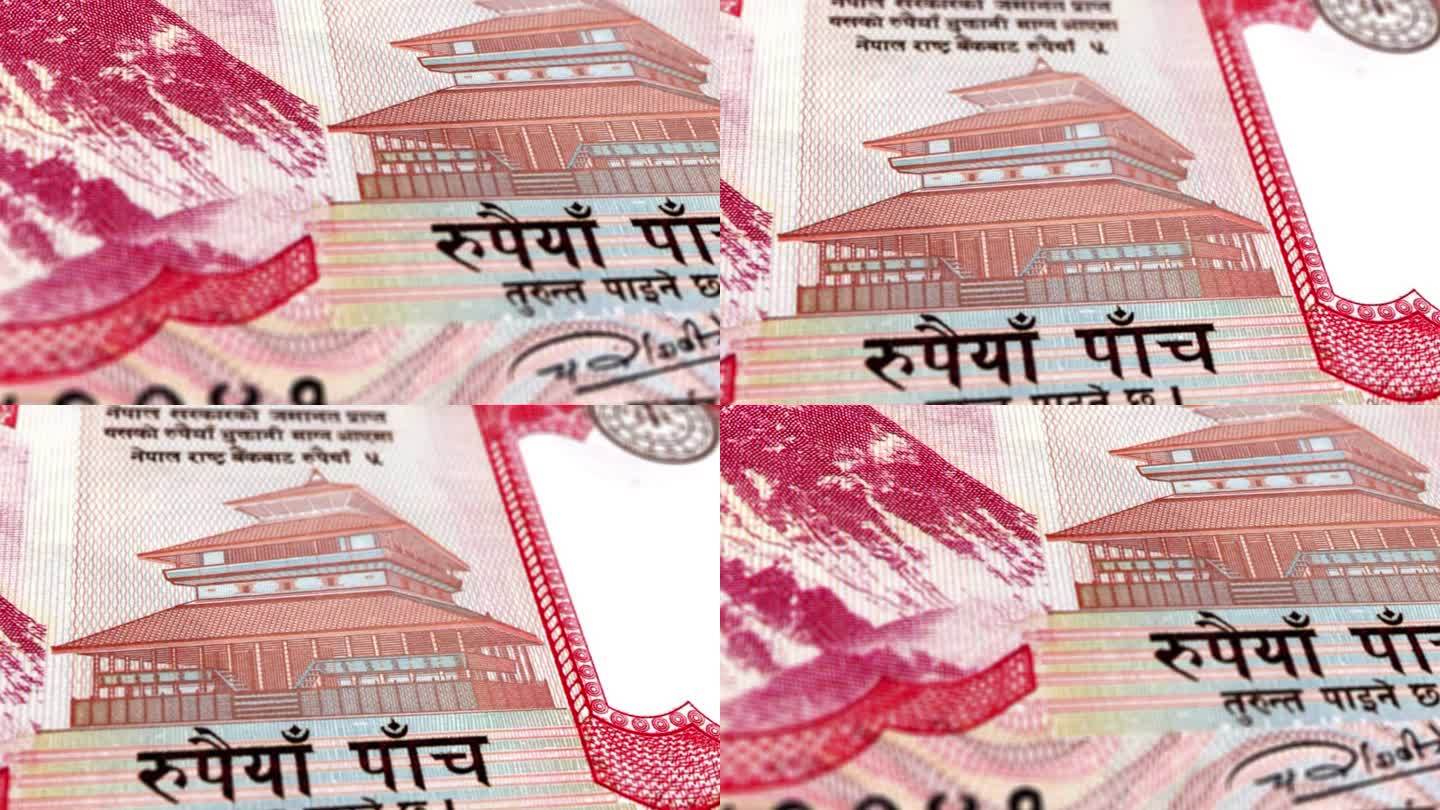 尼泊尔卢比5张钞票，5张尼泊尔卢比，尼泊尔卢比的特写和宏观视图，跟踪和多莉拍摄5张尼泊尔卢比钞票观察