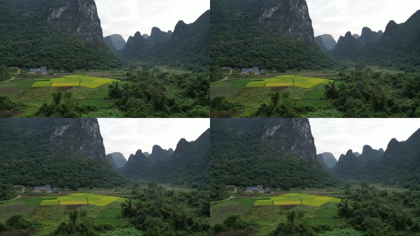 美丽乡村世外桃园山水风景